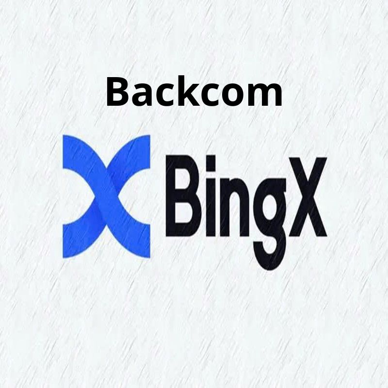 BingX Backcom