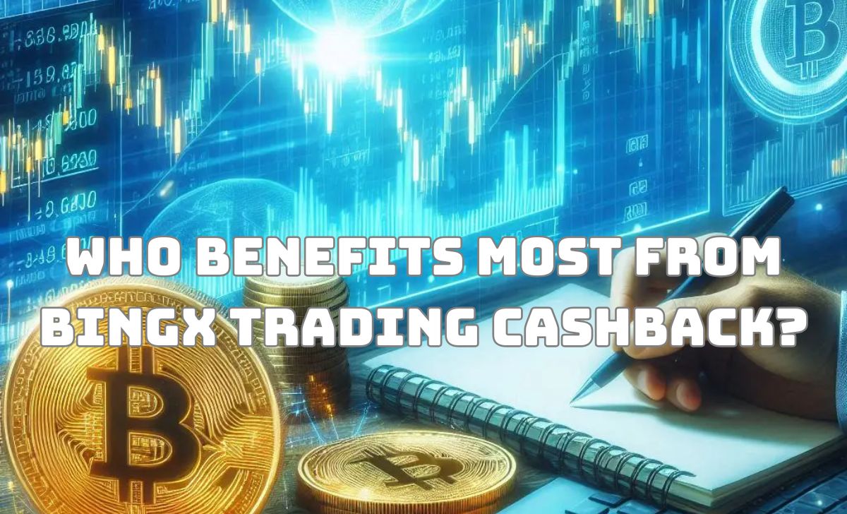 Who benefits most from BingX trading cashback?